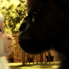 Le avventure di Fiocco di Neve: il piccolo gorilla albino a confronto con un grande gorilla nero