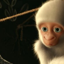Le avventure di Fiocco di Neve: una tenera immagine del piccolo gorilla albino protagonista del film