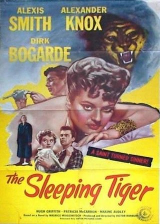 La tigre nell'ombra: la locandina del film