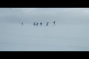 Video-recensione The Grey