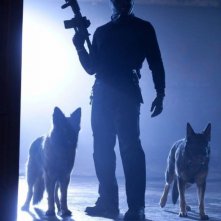 Randall Archer è un serial killer in The Collection, thriller del 2012