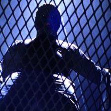 The Collection, una sequenza del thriller targato LD Entertainment