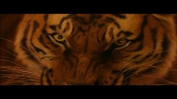 Clip 'Solo con la tigre' - Vita di Pi