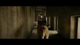 Clip 'The Tiger' - Vita di Pi