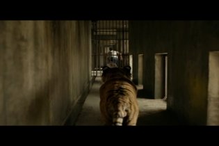 Clip 'The Tiger' - Vita di Pi