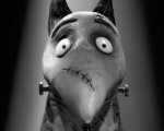 Courmayeur 2012: arriva Frankenweenie