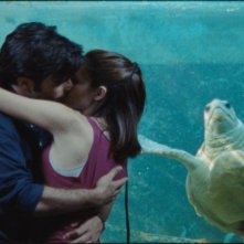 Vorrei vederti ballare: Chiara Chiti e Giulio Forges Davanzati si baciano in una scena