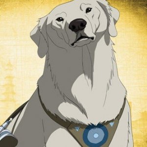 Il personaggio di Naga, della prima stagione della serie animata La leggenda di Korra