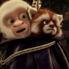 Le avventure di Fiocco di Neve: il piccolo gorilla albino con il suo amico procione rosso