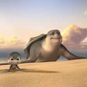 Sammy 2 - La grande fuga: Sammy in una scena del film sulla spiaggia