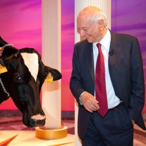 Superquark: Piero Angela durante lo special 'Uscire dal tunnel' con una mucca in studio!