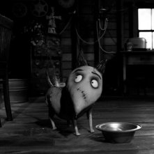 Frankenweenie: Sparky mangia nella sua ciotola in una scena del film d'animazione