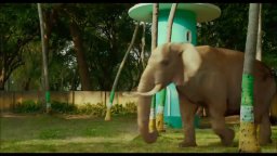 Video-recensione Vita di Pi