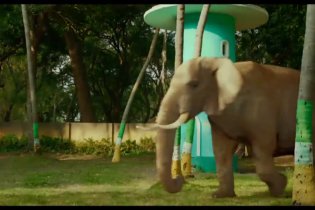 Video-recensione Vita di Pi