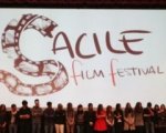 Sacile Film Festival: le novità dell'edizione 2013