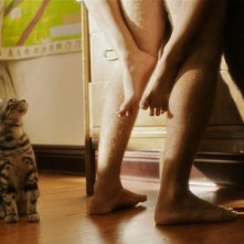 Save the Date: un gatto voyeur in una sequenza