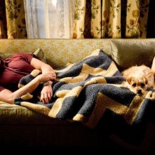 Steve Carell in una scena di Cercasi amore per la fine del mondo