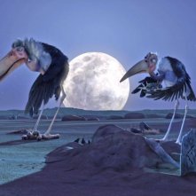 Zambezia: Marabous in una scena notturna tratta dal film