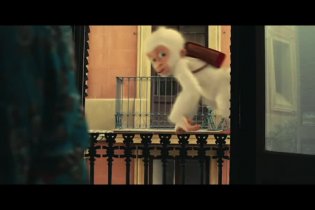 Clip 4 - Le avventure di Fiocco di Neve