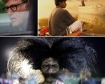 Vita di Pi, I 2 soliti idioti e gli altri film delle Feste