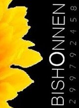 Un poster della web series Bishonnen