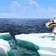 Il Blu-ray di L'era glaciale 4: Continenti alla deriva