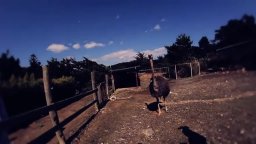 Video-recensione Fukushame: Il Giappone perduto