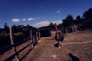 Video-recensione Fukushame: Il Giappone perduto