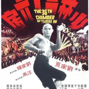 La 36a camera dello Shaolin: la locandina del film