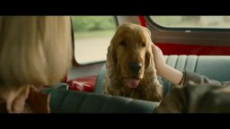 Trailer - Boule & Bill