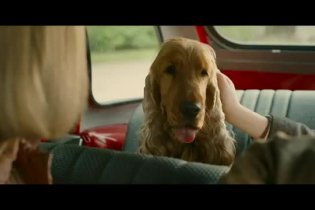 Trailer - Boule & Bill