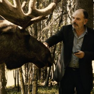 Jean-Pierre Darroussin alle prese con un alce in Rendez-vous à Kiruna