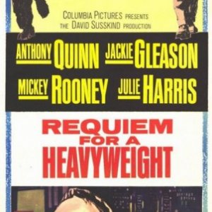 Una faccia piena di pugni: la locandina del film