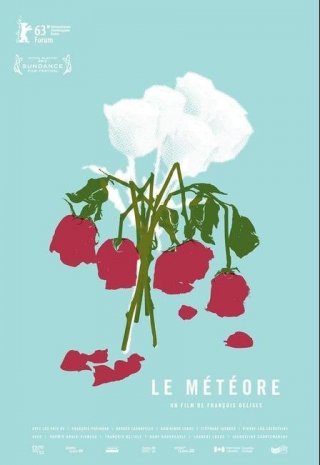 The Meteor: la locandina del film