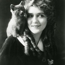 Mary Pickford, un ritratto con gatto