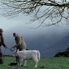 A Single Shot: Sam Rockwell in una scena tratta dal film