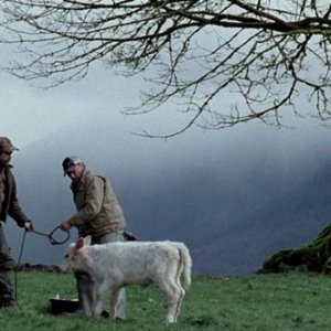 A Single Shot: Sam Rockwell in una scena tratta dal film