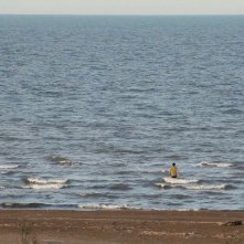 Closed Curtain: una scena del film diretto da Jafar Panahi e Kamboziya Partovi
