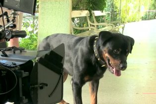 Featurette 'Il Rottweiler' - Il principe abusivo