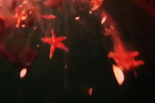 Trailer - Leviathan (2012)