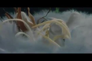 Trailer Italiano - Marsupilami