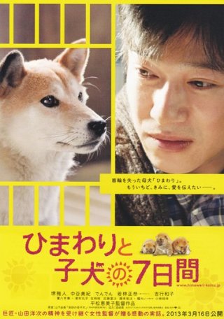 7 Days of Himawari & Her Puppies: la locandina del film