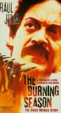 The Burning Season: la locandina del film