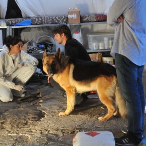 Rex 4: il protagonista Rex con Ettore Bassi e Pilar Abella in una scena della fiction