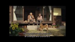 Trailer - 7 Days of Himawari & Her Puppies