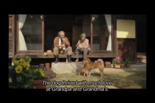 Trailer - 7 Days of Himawari & Her Puppies