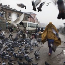 Come pietra paziente: una suggestiva immagine del film