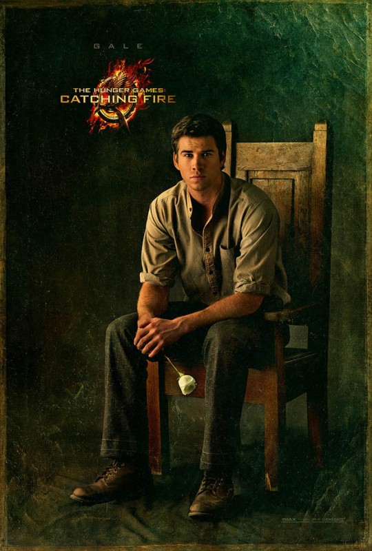 Hunger Games La Ragazza Di Fuoco Character Poster Di Liam Hemsworth 268055