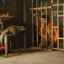 Jamel Debbouze e Alain Chabat in Marsupilami in compagnia di un misterioso animale