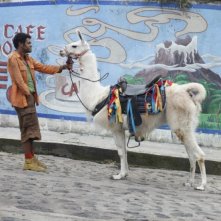 Jamel Debbouze in una scena di Marsupilami